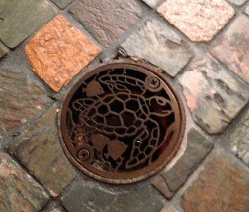 turtle drain