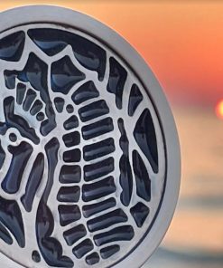 Seahorse-Knob-Sunset-background_Designer-Drains